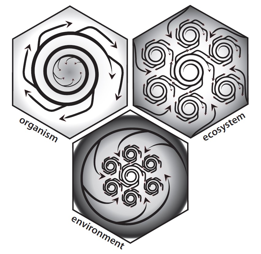 Ecosystemics Media and Messages – ecosystemics.org